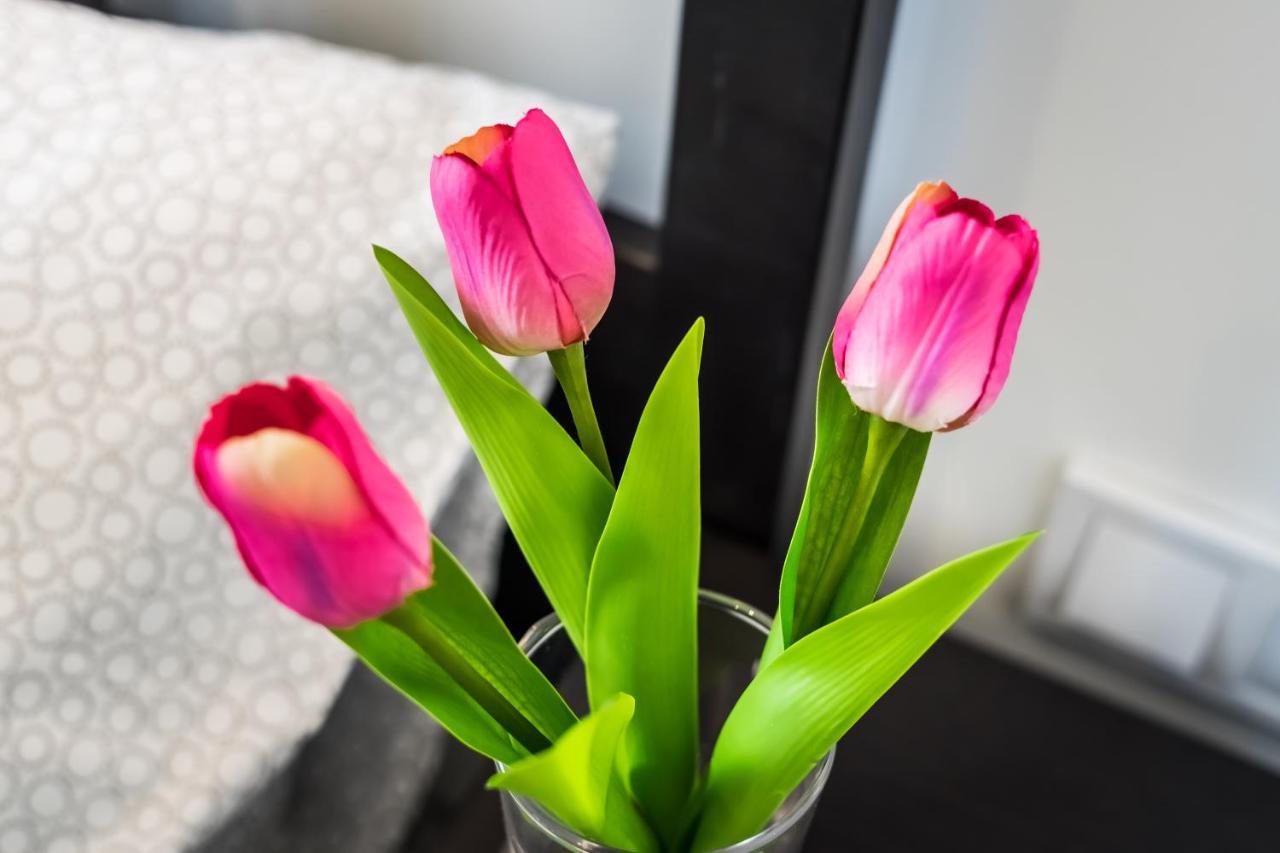 Cosy Studios In The Heart Of The City Budapest Extérieur photo